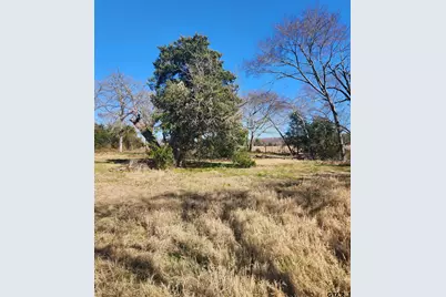 Tbd Cr 1404 Lot 18, Athens, TX 75751 - Photo 8