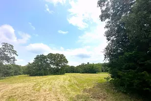 Tbd Cr 1404 Lot 18, Athens, TX 75751 - Photo 1