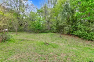 8350 Fm 346 W, Flint, TX 75762 - Photo 48