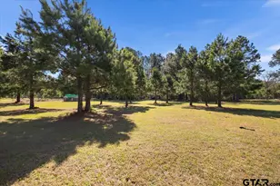 256 Co Rd 2749, Mineola, TX 75773 - Photo 32