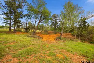 4123 County Rd 1120, Tyler, TX 75704 - Photo 42