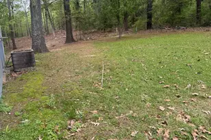 313 Private Rd 8693, Winnsboro, TX 75494 - Photo 4