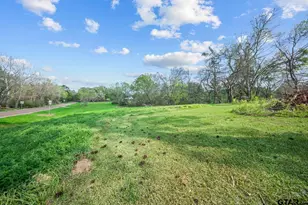 1018 E Fm 1798, Mt Enterprise, TX 75681 - Photo 28