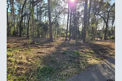 Lot 5 Hickory Lane, Bullard, TX 75757 - Photo 1
