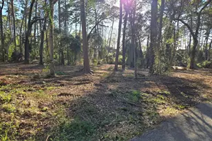 Lot 5 Hickory Ln, Bullard, TX 75757 - Photo 1