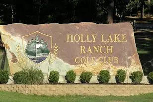 175 Old Gate Path, Holly Lake Ranch, TX 75765 - Photo 2