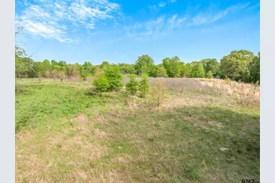 Tbd Sh 19 & Vzcr 1925, Edgewood, TX 75117 - Photo 10