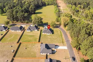 15274 County Rd 1100, Tyler, TX 75703 - Photo 48