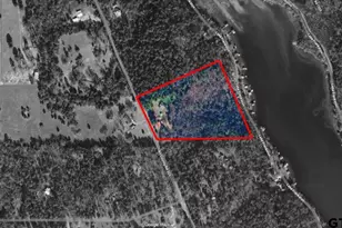 782 An County Rd 325, Frankston, TX 75763 - Photo 40