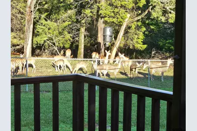 782 An County Road 325, Frankston, TX 75763 - Photo 6