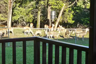 782 An County Rd 325, Frankston, TX 75763 - Photo 6