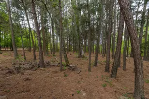 6543 Cr 492, Tyler, TX 75706 - Photo 22