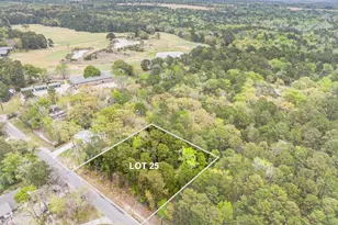 Lot 25 Acr 319, Frankston, TX 75763 - Photo 1