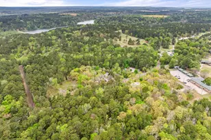 Lot 25 Acr 319, Frankston, TX 75763 - Photo 4