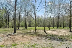 6256 Co Rd 1915, Mount Pleasant, TX 75455 - Photo 26