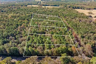 Lots 6-10 Creek Bend Trail, Troup, TX 75789 - Photo 1