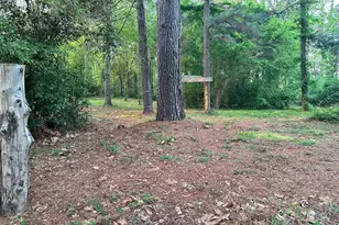 17424 Cr 46, Tyler, TX 75704 - Photo 40