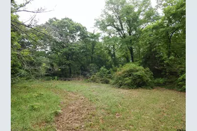 146 Cr 1215, Quitman, TX 75783 - Photo 4