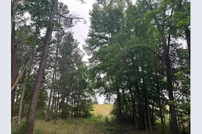 Lot 9  5+ Acres Fm 15, Troup, TX 75789 - Photo 4