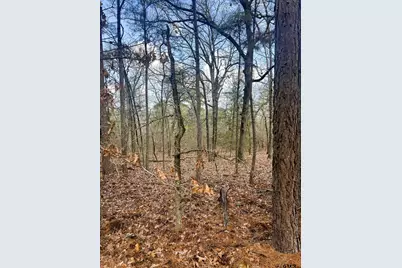 000 Private Road 8000, Winnsboro, TX 75494 - Photo 6