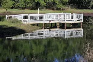 244 County Rd 2321, Pittsburg, TX 75686 - Photo 40