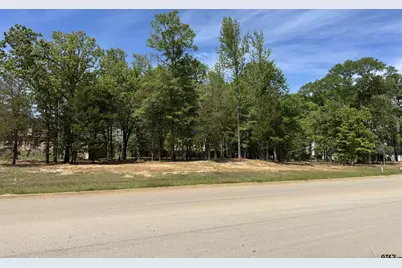 8205 & 8061 Hollytree Dr, Tyler, TX 75703 - Photo 2