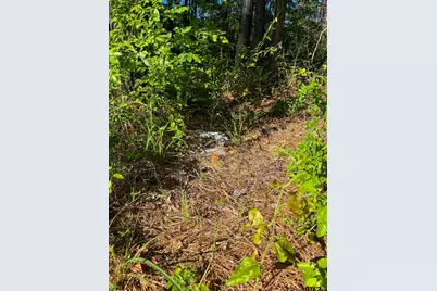 1329 Cr 2112, Rusk, TX 75785 - Photo 10