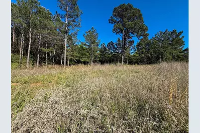 1329 Cr 2112, Rusk, TX 75785 - Photo 4