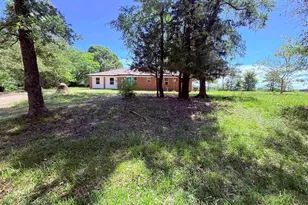 45 Co Rd 1197, Yantis, TX 75497 - Photo 2