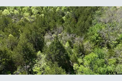 Tbd County Road 4511, Commerce, TX 75428 - Photo 14