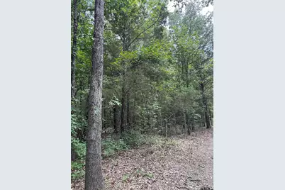 22417 Cr 455, Mineola, TX 75773 - Photo 14