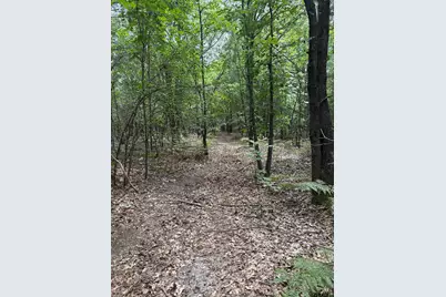 22417 Cr 455, Mineola, TX 75773 - Photo 8