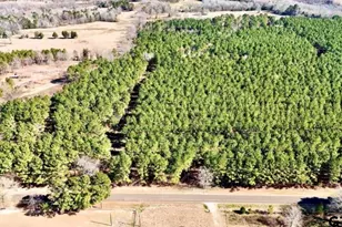 Tbd Cr 2138, Troup, TX 75789 - Photo 4