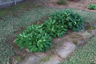 3407 Storey Lake Dr, Tyler, TX 75707 - Photo 38