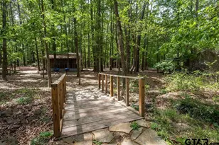 153 W Cr 319, Tyler, TX 75706 - Photo 8