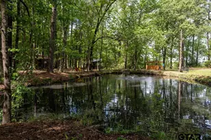 153 W Cr 319, Tyler, TX 75706 - Photo 30