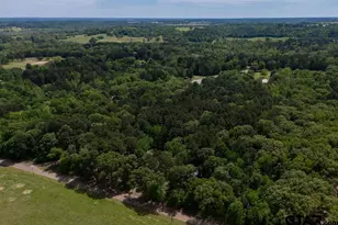 153 W Cr 319, Tyler, TX 75706 - Photo 44