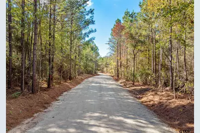 Lots 1,2, & 3 Creek Bend Trail, Troup, TX 75789 - Photo 2