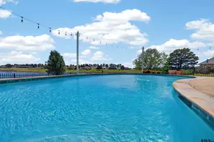 16801 Stallion Shores Ct, Lindale, TX 75771 - Photo 46