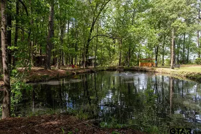 153 W Cr 319, Tyler, TX 75706 - Photo 44