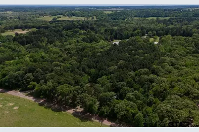 153 W Cr 319, Tyler, TX 75706 - Photo 6