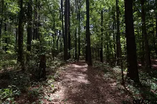 153 W Cr 319, Tyler, TX 75706 - Photo 38