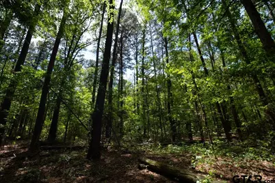 153 W Cr 319, Tyler, TX 75706 - Photo 36