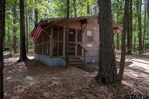 153 W Cr 319, Tyler, TX 75706 - Photo 30