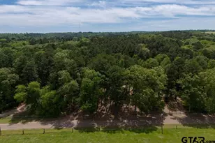 153 W Cr 319, Tyler, TX 75706 - Photo 8