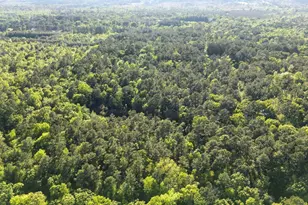 570 Co Rd 4120, Jacksonville, TX 75766 - Photo 42