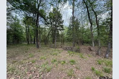 Tbd Cr 2798, Mineola, TX 75773 - Photo 18