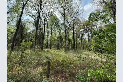 Tbd Cr 2798, Mineola, TX 75773 - Photo 12