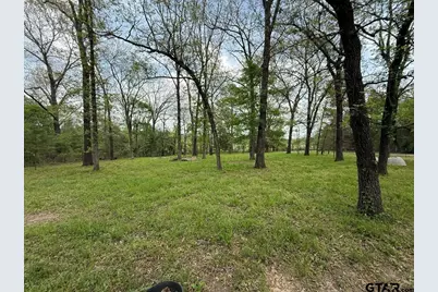 Tbd Cr 2798, Mineola, TX 75773 - Photo 10