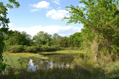 Tbd County Road 1300, Yantis, TX 75497 - Photo 2